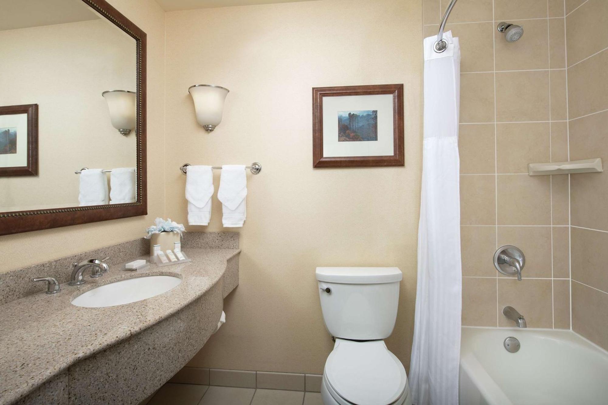 Hilton Garden Downtown 3*
